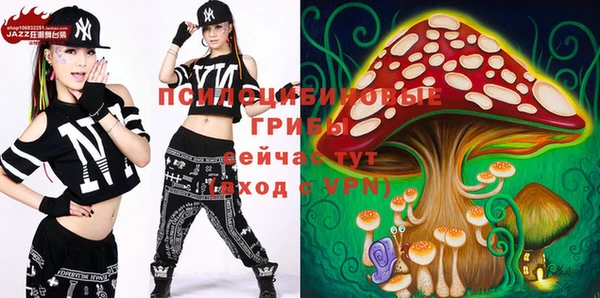 спайс Алексин