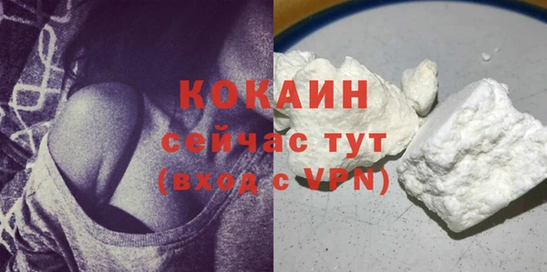 спайс Алексин
