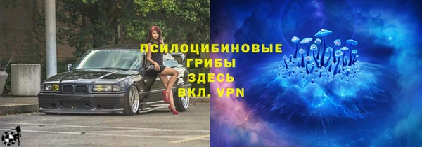 спайс Алексин