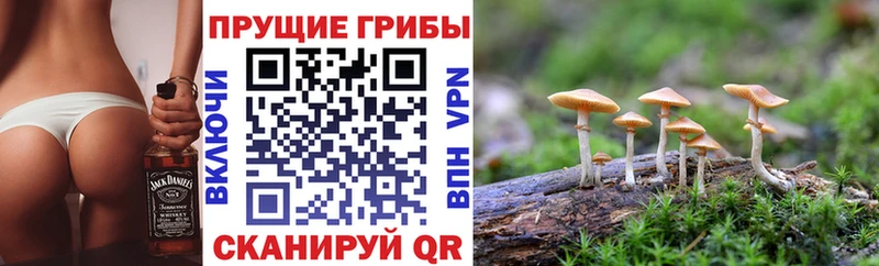 Галлюциногенные грибы ЛСД  купить наркотик  Красноуфимск 